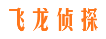 龙华市调查公司